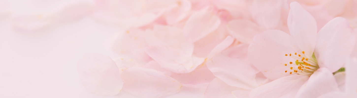 スイーツ【期間限定＆桜パンケーキ】